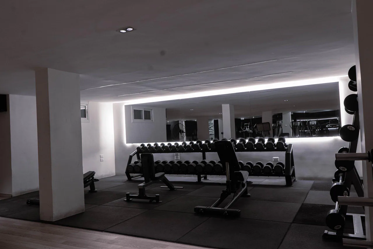 Pro Gym dumbbell training area